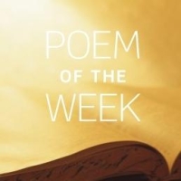Poems of the Week: 2024 Poems of the Week: 2024