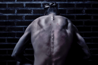 Gallery cover