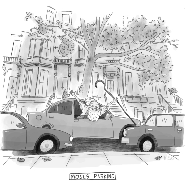 Gallery cover