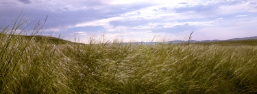 Gallery cover