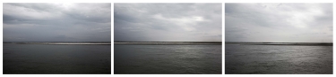 Gallery cover