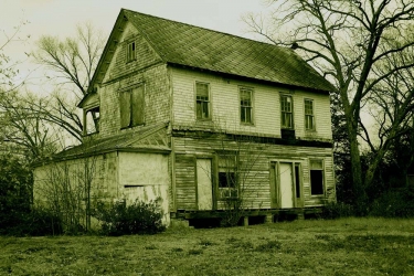Gallery cover